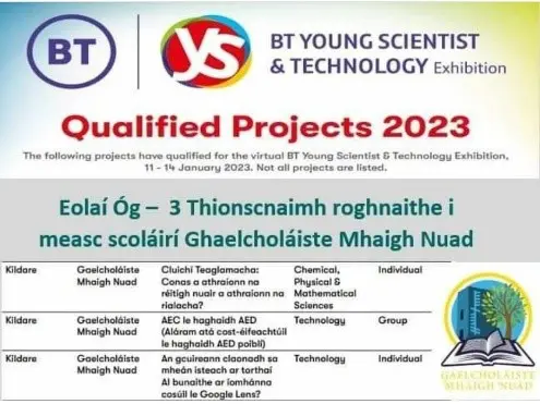BT young Scientist and Technology Exhibition infographic that show the three projects that qualified for the virtual BT Young Scientist and Technology Exhibition 