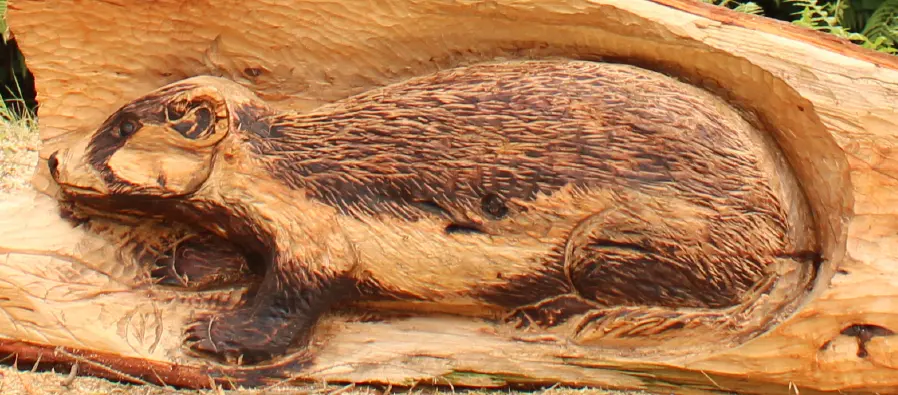 Wooden carving of a badger in a log